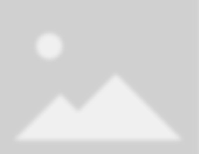 Express Landscaping & Construction Inc service 1